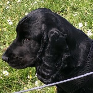 Meet your Posher, Jayda